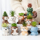 Ceramic Planters
