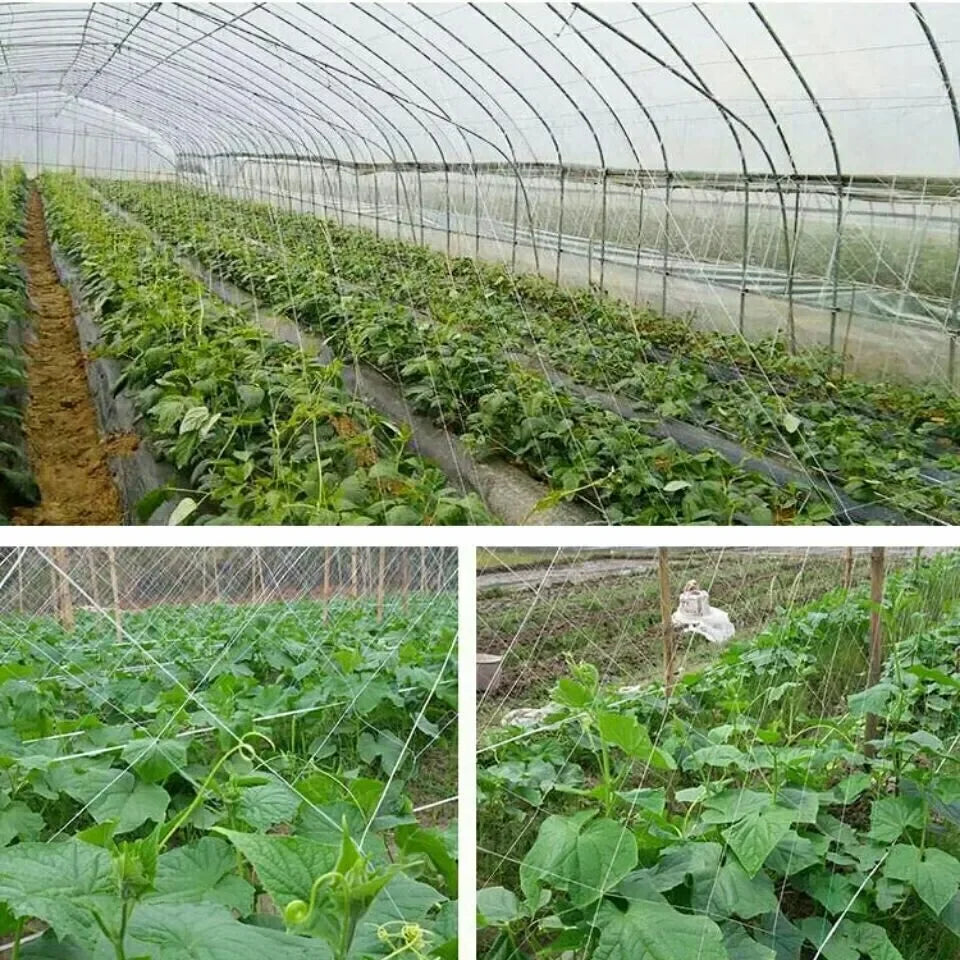 Garden Climbing Trellis Netting – Heavy-Duty Polyester Plant Support Net for Vegetables, Vines & Flowers