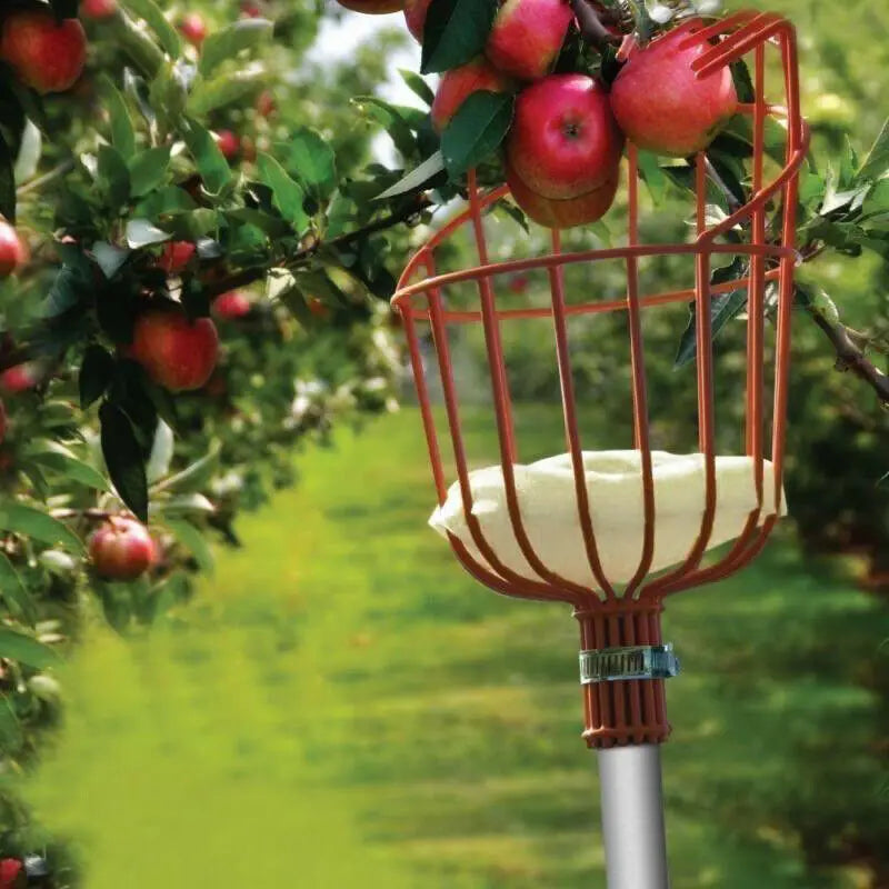 Telescopic Fruit Picker Basket – Stainless Steel Catcher for Apples, Oranges & High-Altitude Picking