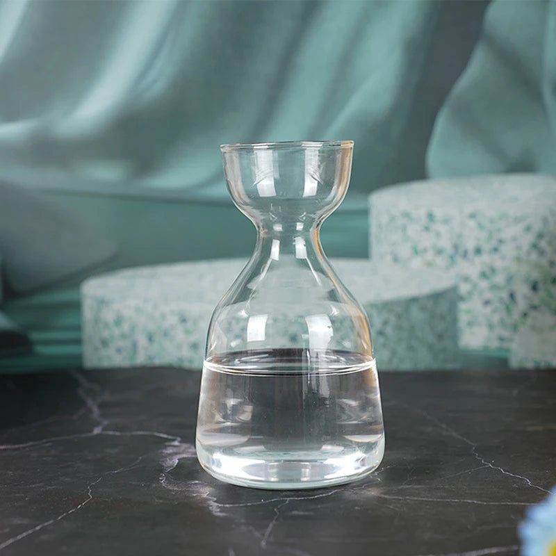 Avocado Seed Starter Glass Vase — Transparent Hydroponic Planter