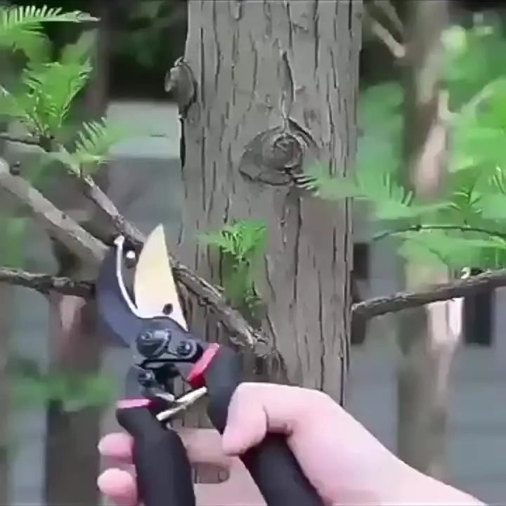 8.5" Professional Titanium Bypass Pruning Shears – Sharp Garden Pruners & Hedge Clippers