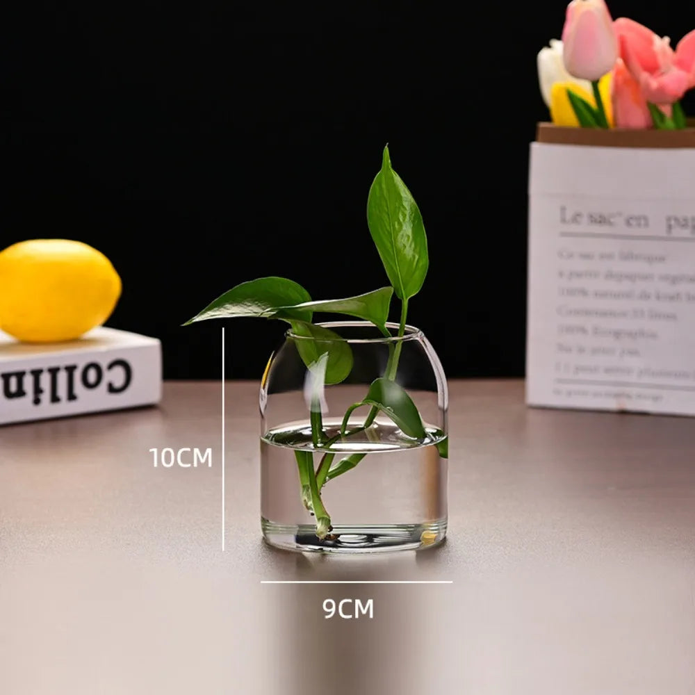 Simple Modern Transparent Glass Flower Vase — Hydroponic & Decorative