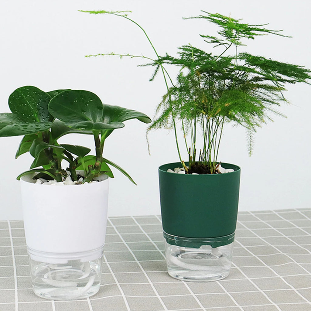 Self-Watering Hydroponic Plant Pot – Cotton Rope Water Absorption Planter (S/M/L)