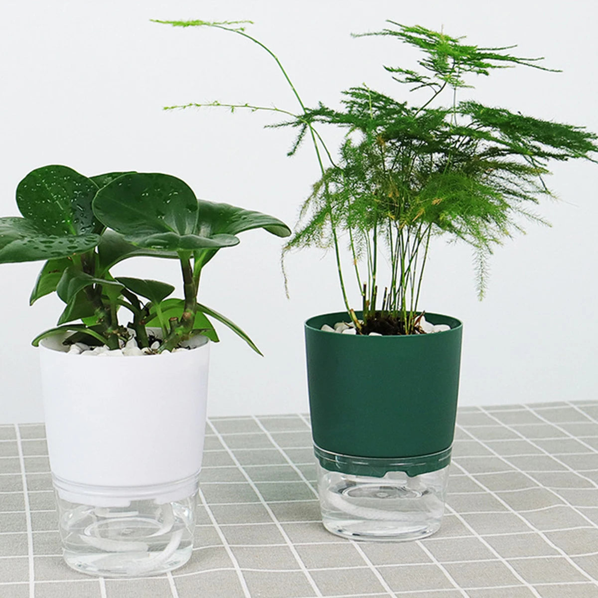 Self-Watering Hydroponic Plant Pot – Cotton Rope Water Absorption Planter (S/M/L)