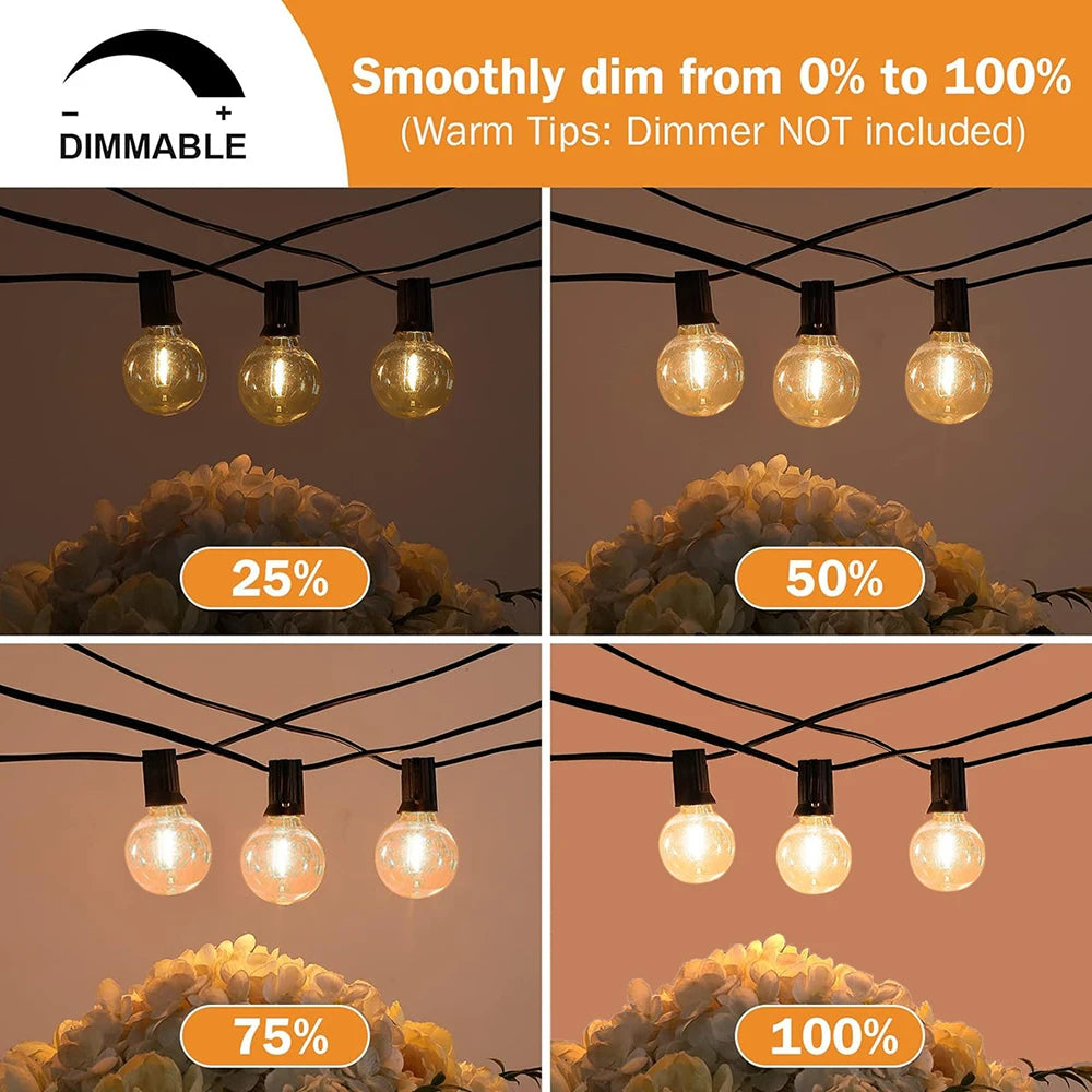 G40 Globe Festoon Outdoor String Lights — Warm White, Dimmable